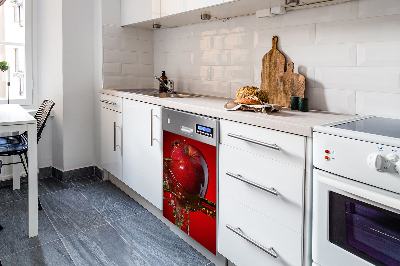 Deco magnetique pour lave vaisselle Pomme rouge