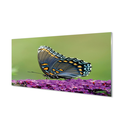 Tableaux sur verre acrylique Papillon coloré sur les fleurs