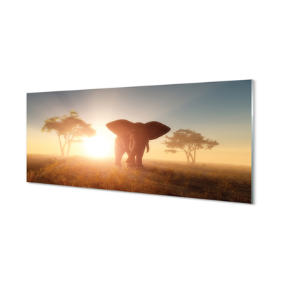 Tableaux sur verre acrylique Est l'arbre elephant