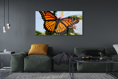 Tableaux sur verre acrylique Papillon coloré