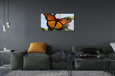 Tableaux sur verre acrylique Papillon coloré