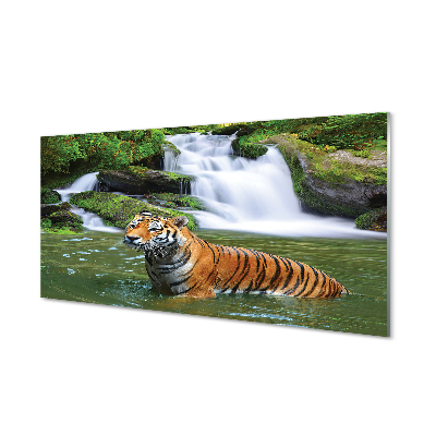 Tableaux sur verre acrylique Chute d'eau tigre