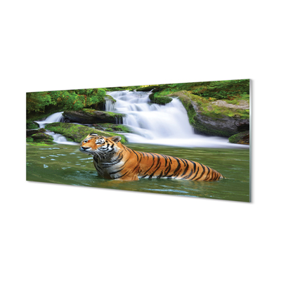 Tableaux sur verre acrylique Chute d'eau tigre