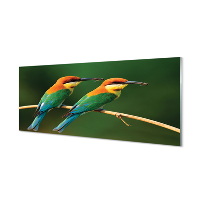 Tableaux sur verre acrylique Perroquet coloré sur une branche