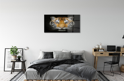 Tableaux sur verre acrylique Tigre