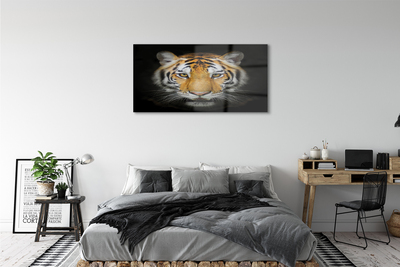 Tableaux sur verre acrylique Tigre