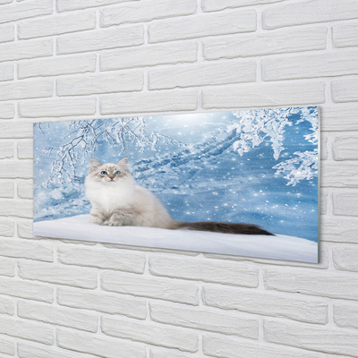 Tableaux sur verre acrylique Hiver chat