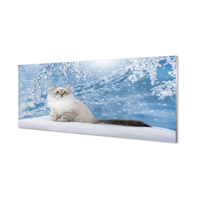 Tableaux sur verre acrylique Hiver chat
