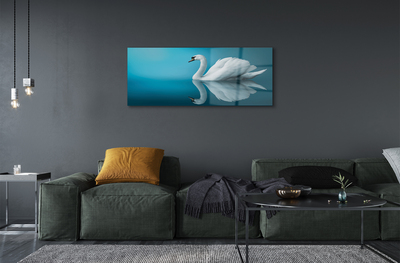 Tableaux sur verre acrylique Swan dans l'eau