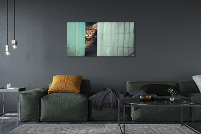 Tableaux sur verre acrylique Cat zaglądający