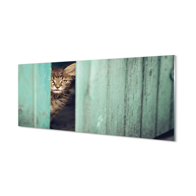 Tableaux sur verre acrylique Cat zaglądający