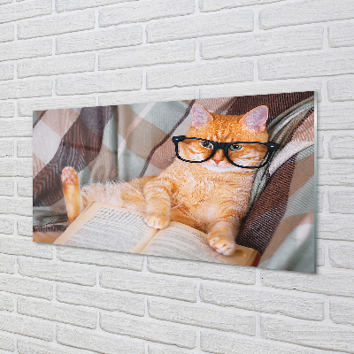 Tableaux sur verre acrylique Le chat de lecteur