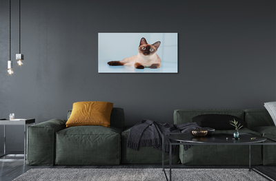 Tableaux sur verre acrylique Chat couché