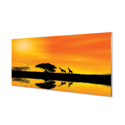 Tableaux sur verre acrylique Girafes arbre lac ouest
