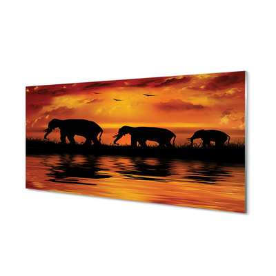 Tableaux sur verre acrylique Éléphants west lake