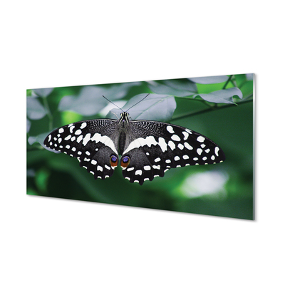 Tableaux sur verre acrylique Feuilles de papillon coloré
