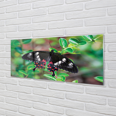 Tableaux sur verre acrylique Feuilles papillon coloré