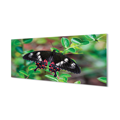 Tableaux sur verre acrylique Feuilles papillon coloré