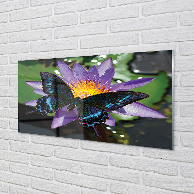 Tableaux sur verre acrylique Fleur papillon