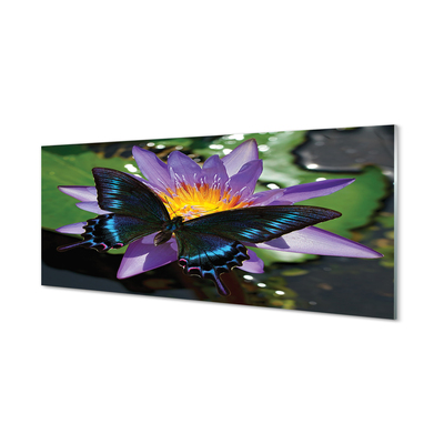 Tableaux sur verre acrylique Fleur papillon