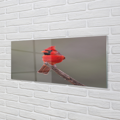 Tableaux sur verre acrylique Perroquet rouge sur une branche