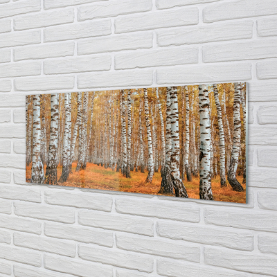 Tableaux sur verre acrylique Arbres d'automne