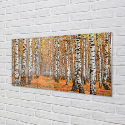 Tableaux sur verre acrylique Arbres d'automne