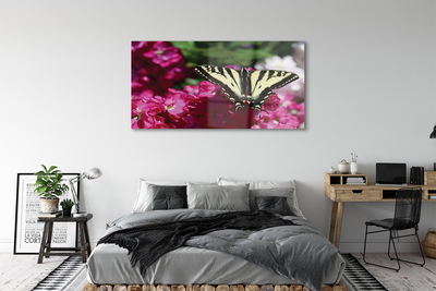 Tableaux sur verre acrylique Papillon fleurs