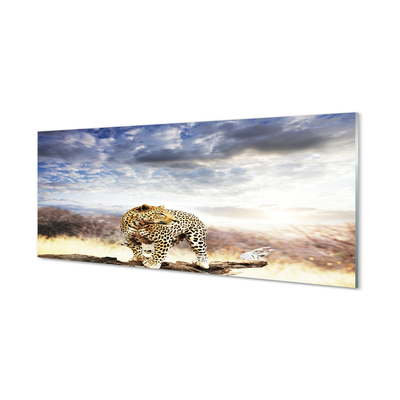 Tableaux sur verre acrylique Nuages ​​panther