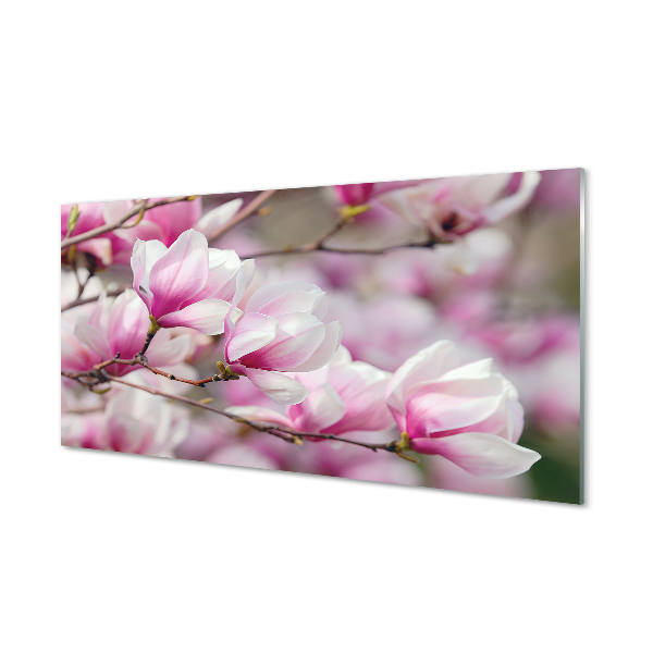 Tableaux sur verre acrylique Fleurs d'arbres