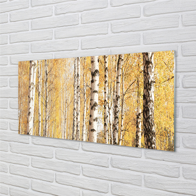 Tableaux sur verre acrylique Arbres d'automne