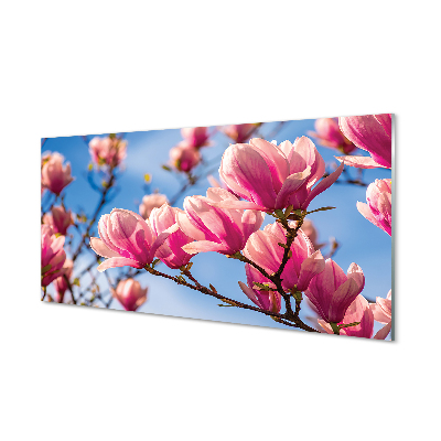 Tableaux sur verre acrylique Fleurs d'arbres