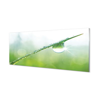 Tableaux sur verre acrylique Goutte herbe macro