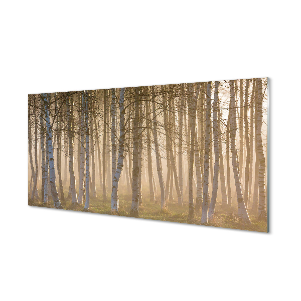 Tableaux sur verre acrylique Forêt de sunrise