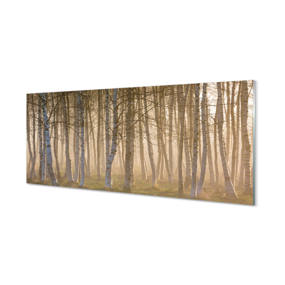 Tableaux sur verre acrylique Forêt de sunrise