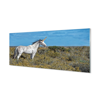 Tableaux sur verre acrylique Unicorn golf