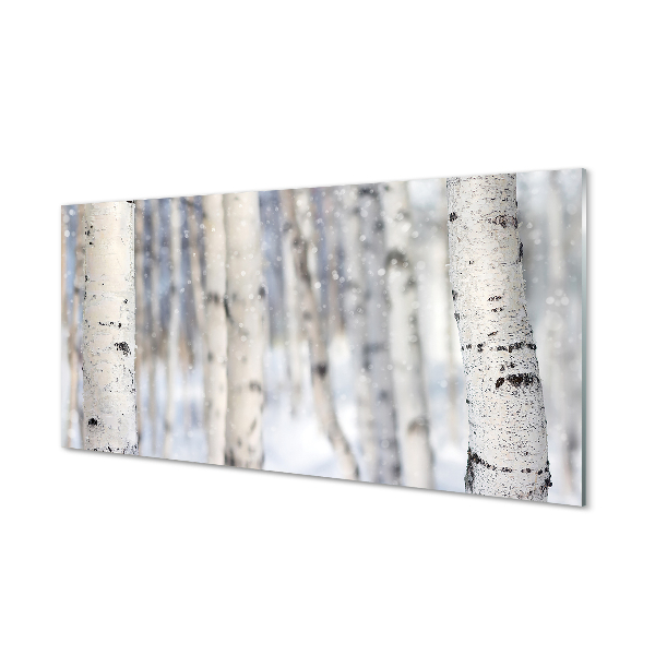 Tableaux sur verre acrylique Les arbres de la neige d'hiver