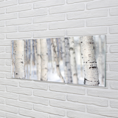 Tableaux sur verre acrylique Les arbres de la neige d'hiver