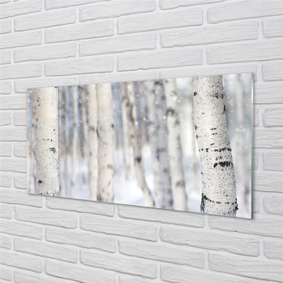 Tableaux sur verre acrylique Les arbres de la neige d'hiver