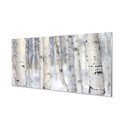 Tableaux sur verre acrylique Les arbres de la neige d'hiver