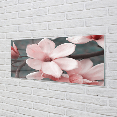 Tableaux sur verre acrylique Fleurs roses