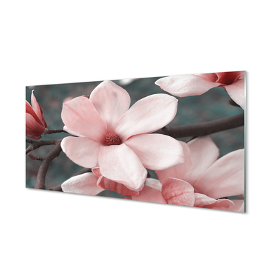 Tableaux sur verre acrylique Fleurs roses