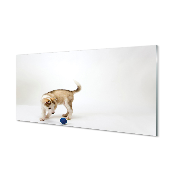 Tableaux sur verre acrylique Jouer avec le chien