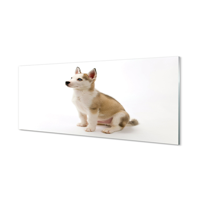 Tableaux sur verre acrylique Assis petit chien