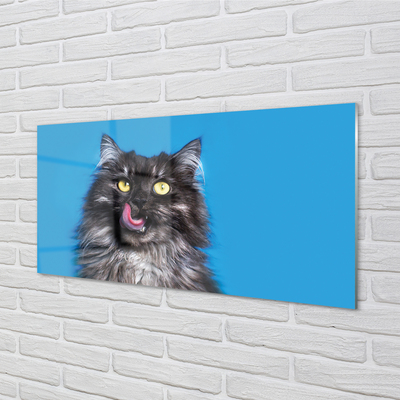 Tableaux sur verre acrylique Oblizujący un chat