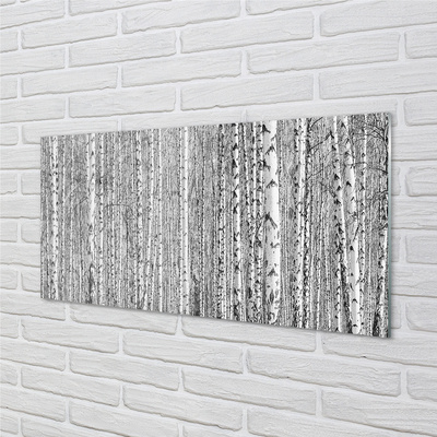 Tableaux sur verre acrylique Forêt de noir et blanc