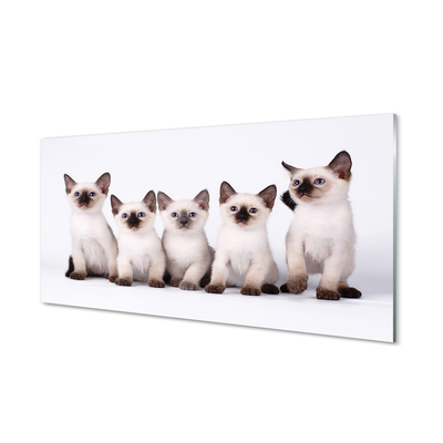 Tableaux sur verre acrylique Petits chats