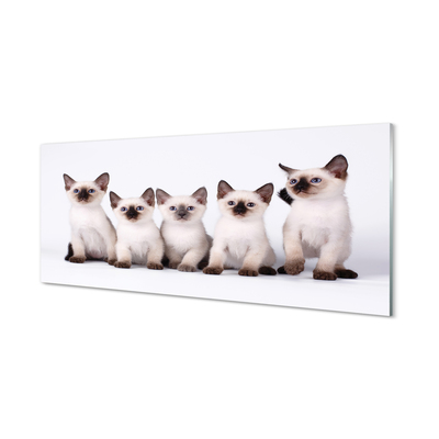 Tableaux sur verre acrylique Petits chats