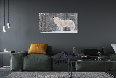 Tableaux sur verre acrylique Loup forêt d'hiver
