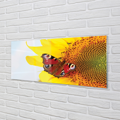 Tableaux sur verre acrylique Papillon de tournesol